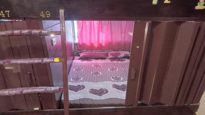 Petra Cabin Hostel 와디무사 외부 사진