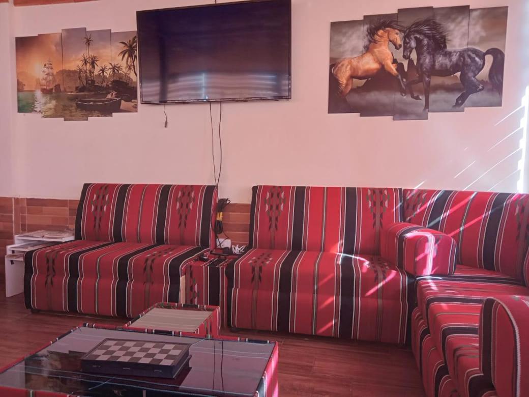 Petra Cabin Hostel 와디무사 외부 사진